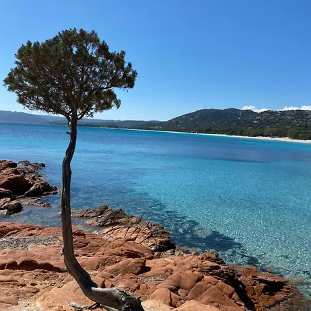 Appartamento Port De Vecchio 100 M2 Porto Vecchio